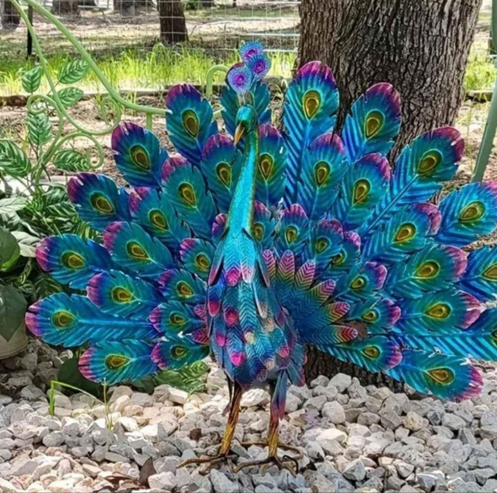 Metal Peacock Outdoor Decor