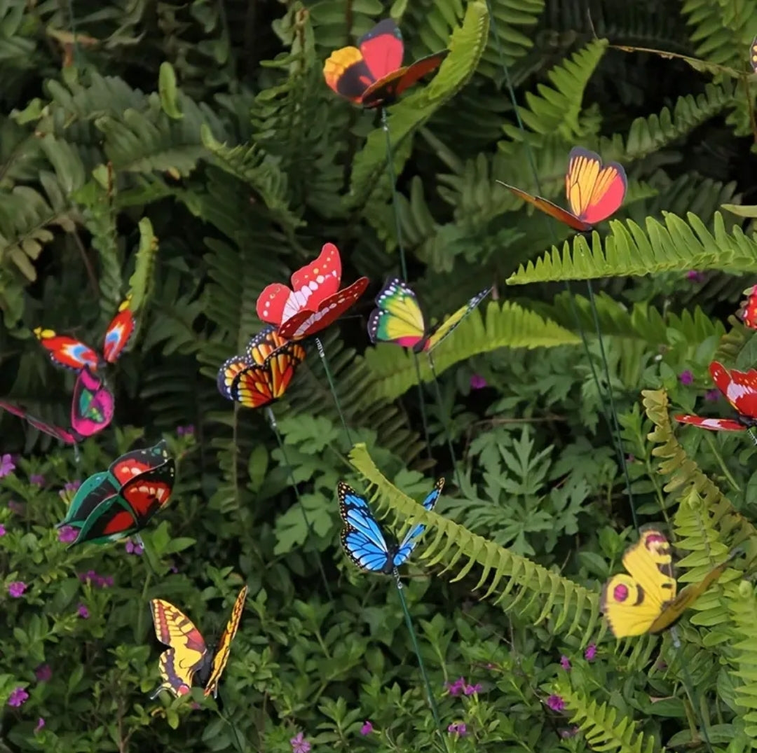 Butterflies Garden Decoration: packs 30|50