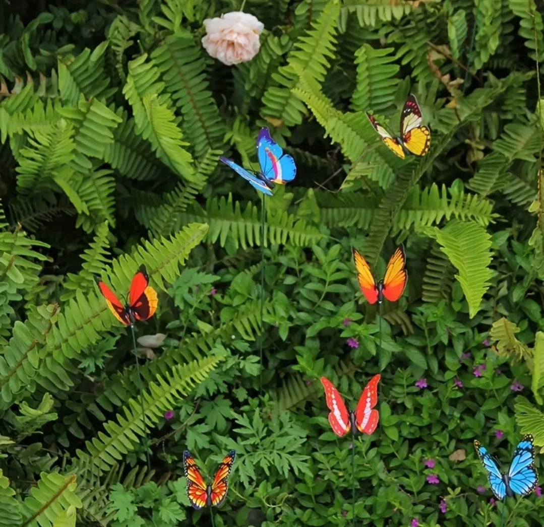 Butterflies Garden Decoration: packs 30|50